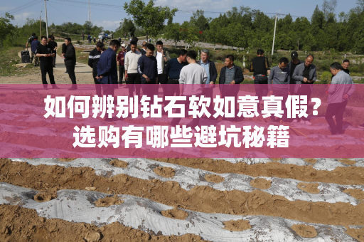 如何辨别钻石软如意真假？选购有哪些避坑秘籍